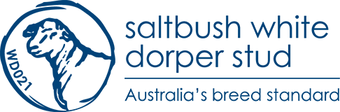 saltbush-dorper-stud-logo
